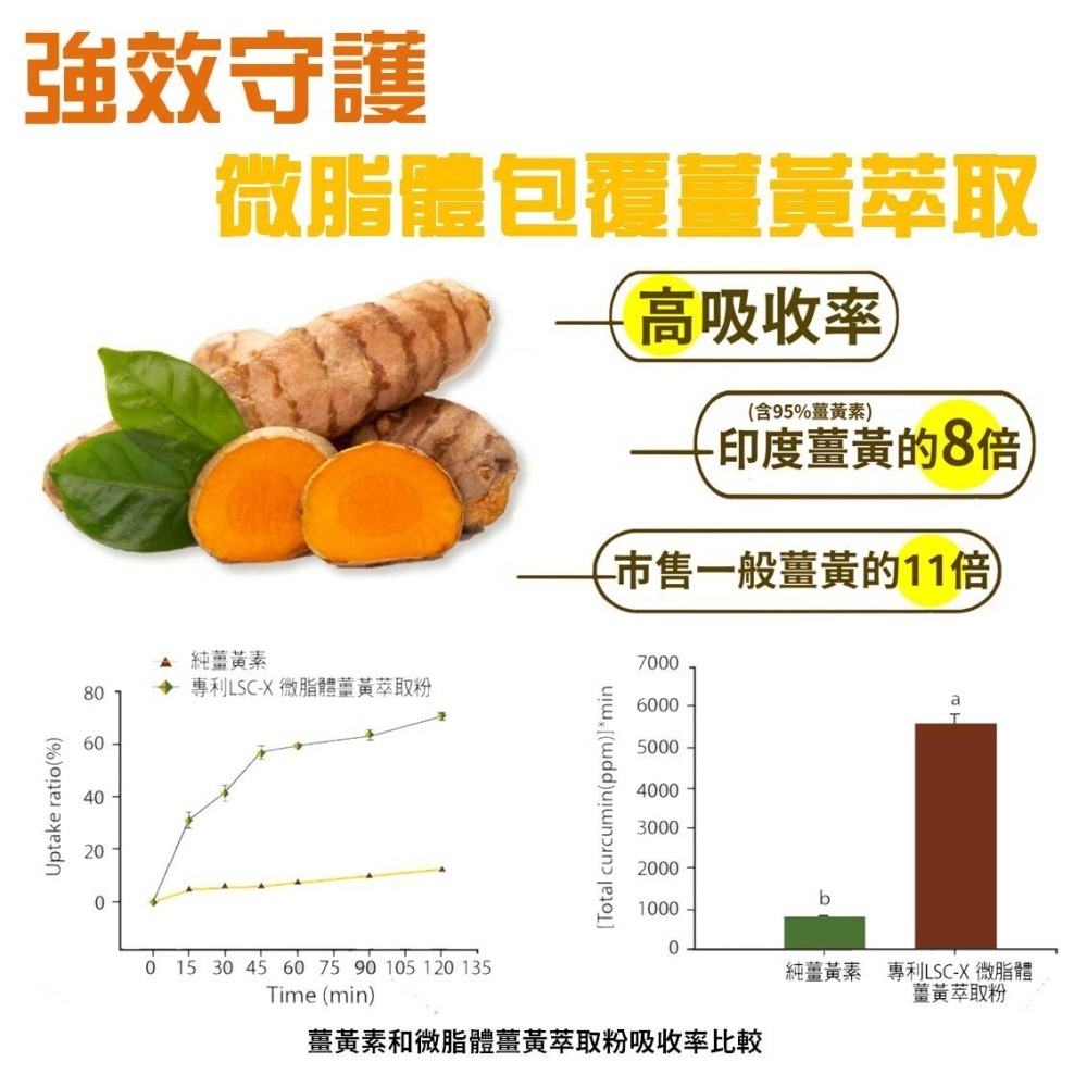 關鍵挺力膠囊 葡萄糖胺 UC2 微脂體薑黃 珊瑚鈣 非變性二型膠原蛋白 維骨力 靈活補鈣 (30粒)-細節圖6