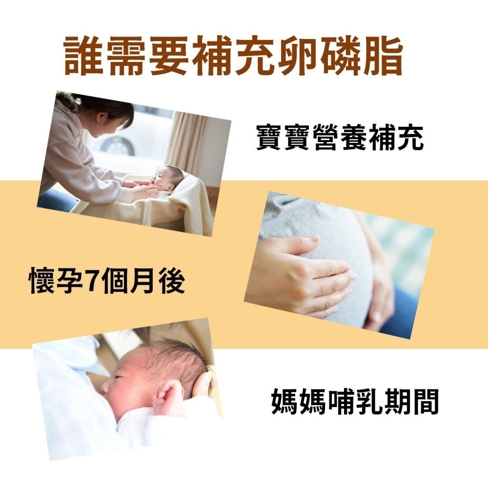 大豆卵磷脂 100%大豆 無豆腥味 ADM卵磷脂 初乳蛋白 哺乳好順 孕後哺乳期 孕期保養 孕補(30包/盒)-細節圖3