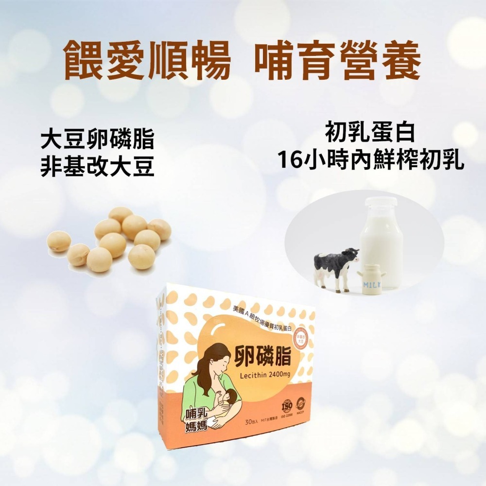 大豆卵磷脂 100%大豆 無豆腥味 ADM卵磷脂 初乳蛋白 哺乳好順 孕後哺乳期 孕期保養 孕補(30包/盒)-細節圖4