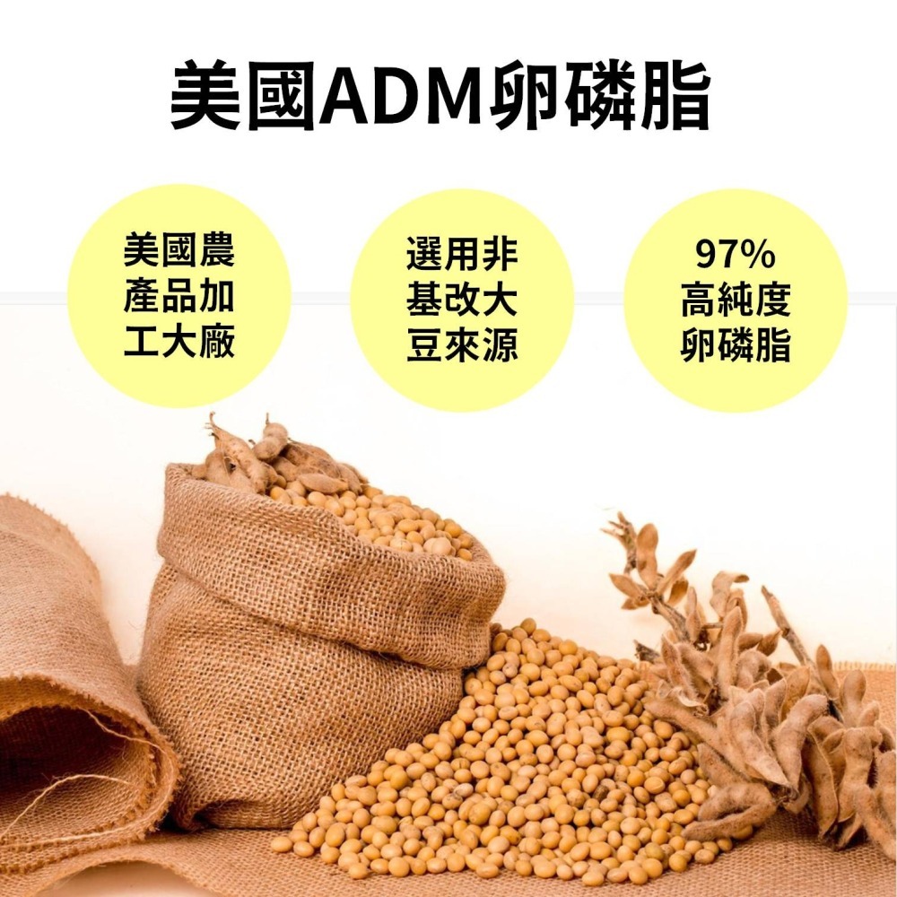 大豆卵磷脂 100%大豆 無豆腥味 ADM卵磷脂 初乳蛋白 哺乳好順 孕後哺乳期 孕期保養 孕補(30包/盒)-細節圖5