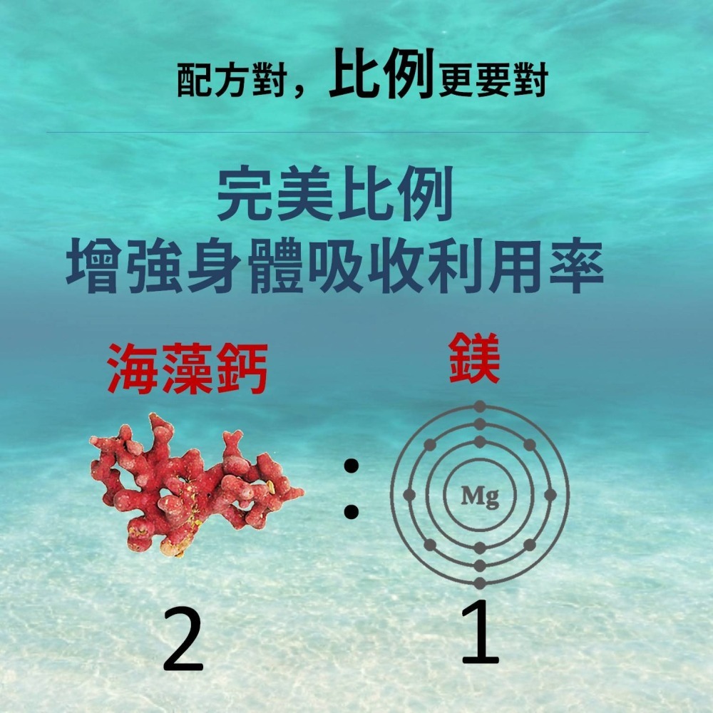 法國海藻鈣膠囊 鈣 鎂 維生素Ｄ 專利配方 補鈣 鈣鎂片 機能保健 銀髮 兒童 (30粒)-細節圖5