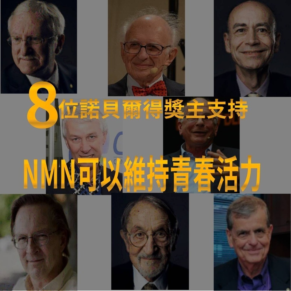 NMN EX膠囊 高純度NMN NAD+補充劑 白藜蘆醇 β-菸醯胺單核苷酸 牛樟芝(30錠)-細節圖3