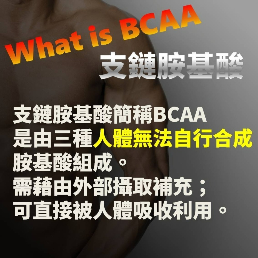 YT-Vita BCAA支鏈胺基酸膠囊(60粒/盒)-細節圖5