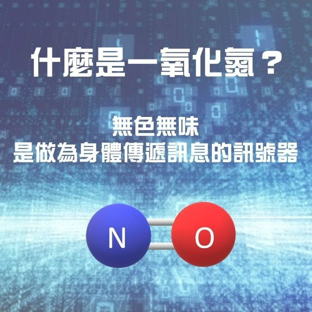 YT-Vita 左旋精胺酸膠囊(60粒/瓶)-細節圖2