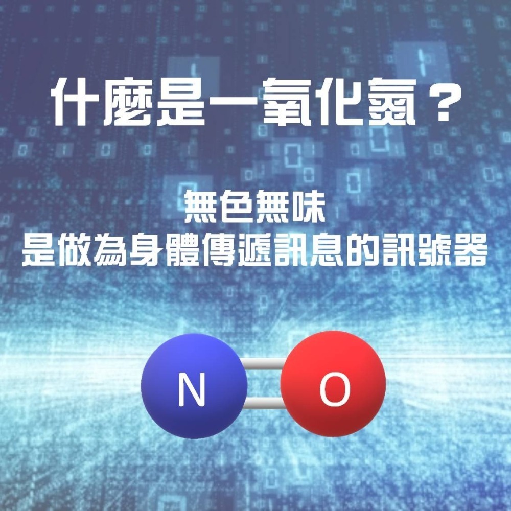 左旋精胺酸膠囊 99%精氨酸 一氧化氮 NO 男性保健 運動保健 爆發力 體力 營養補給(60粒)-細節圖5