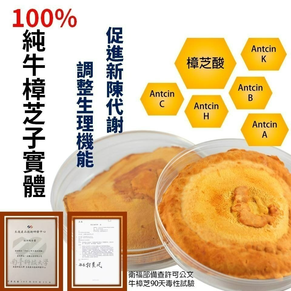 YT-Vita芝麻素複方膠囊 (30粒/盒)-細節圖2