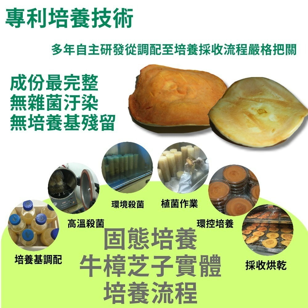 黃金樟芝-子實體+菌絲體膠囊(30粒/盒)-細節圖4