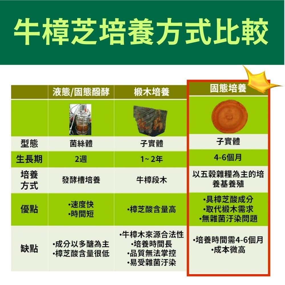 黃金樟芝-子實體+菌絲體膠囊(30粒/盒)-細節圖5
