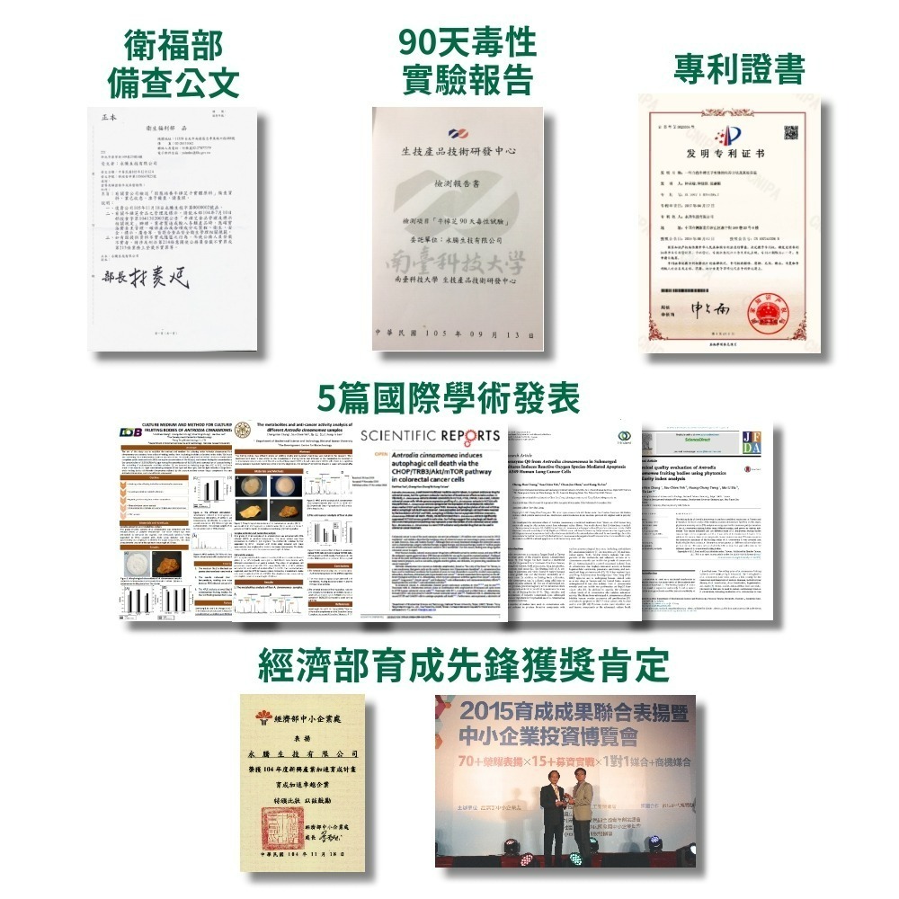 黃金樟芝-子實體+菌絲體膠囊(30粒/盒)-細節圖7