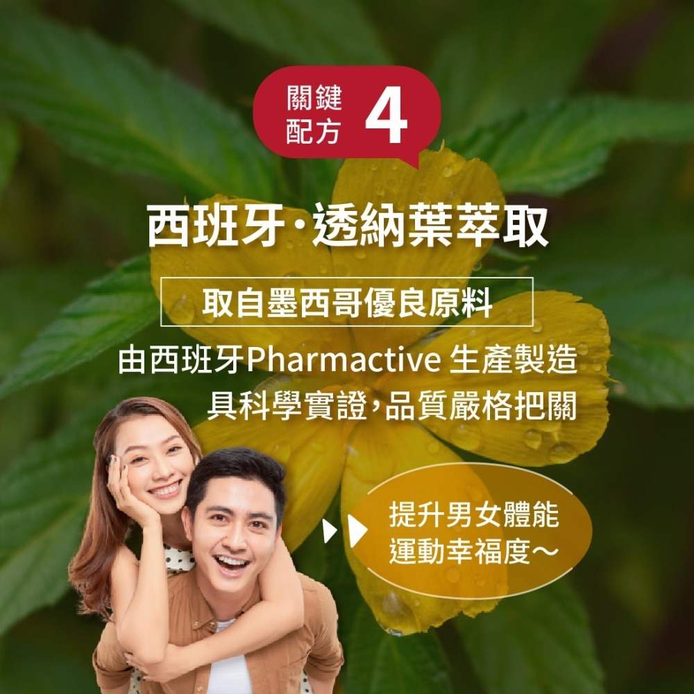 黃金樟芝-樟芝瑪卡L-精氨酸(30粒/包)-細節圖6