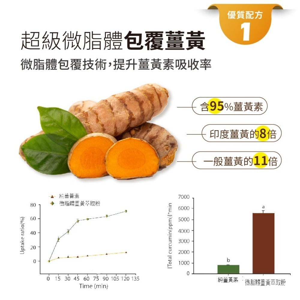 【 黃金樟芝】樟芝薑黃天B群 專利配方 牛樟芝子實體 微米包覆薑黃 酵母B群 加班 應酬必備-細節圖5