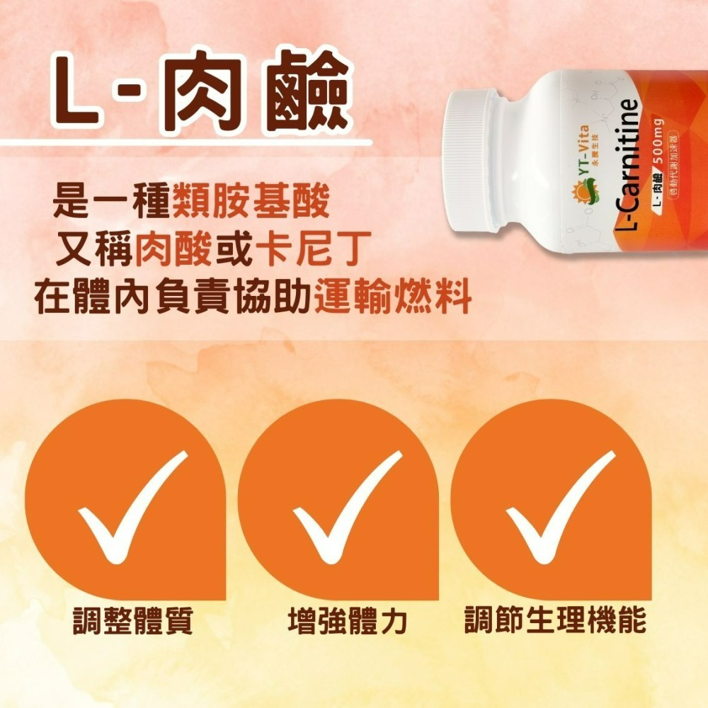 YT-Vita L-肉鹼膠囊(60粒/瓶)-細節圖2