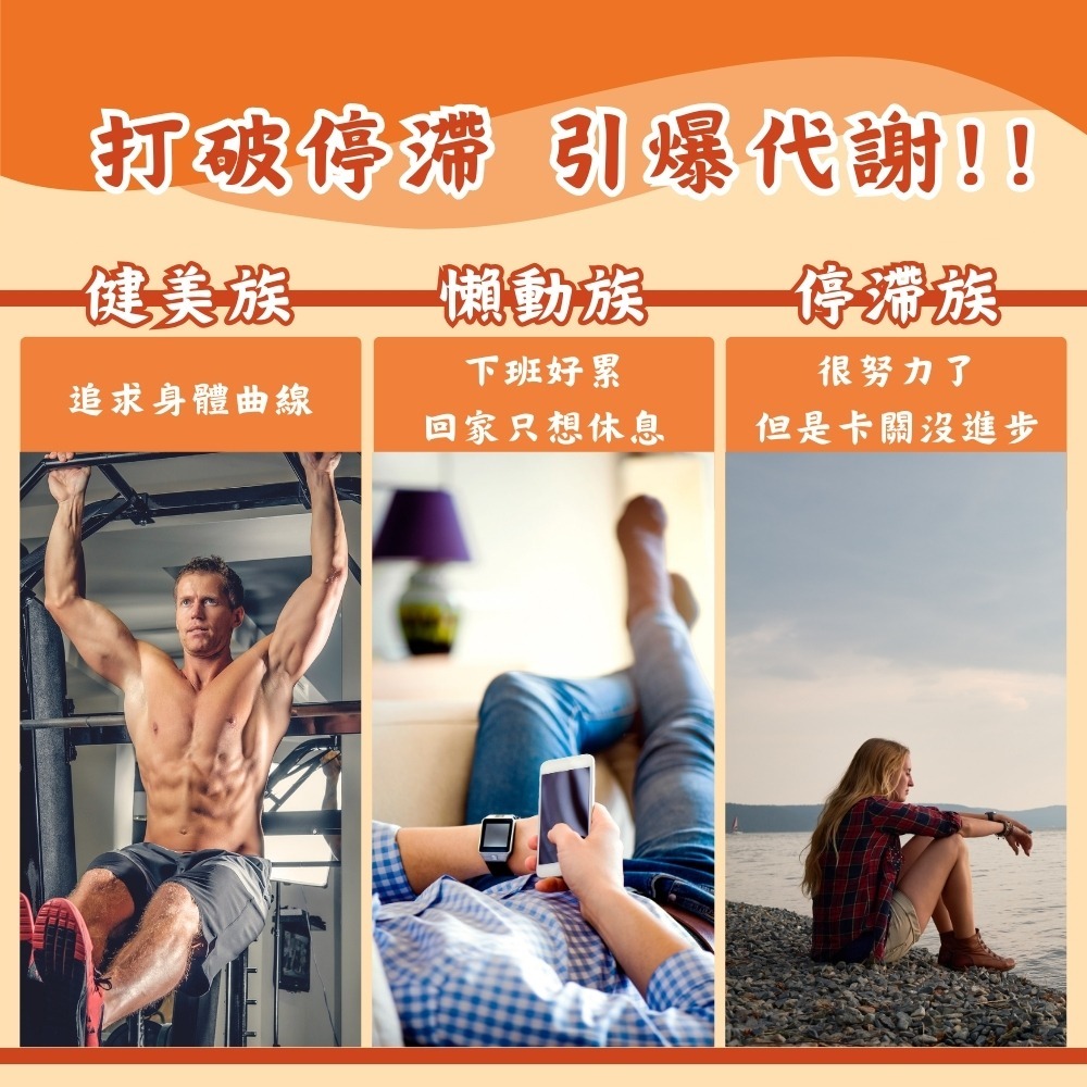 【YT-Vita】L-肉鹼 (60粒/瓶) 肉酸 卡尼丁 L-carnitine 左旋肉鹼 左旋肉酸 現貨-細節圖2