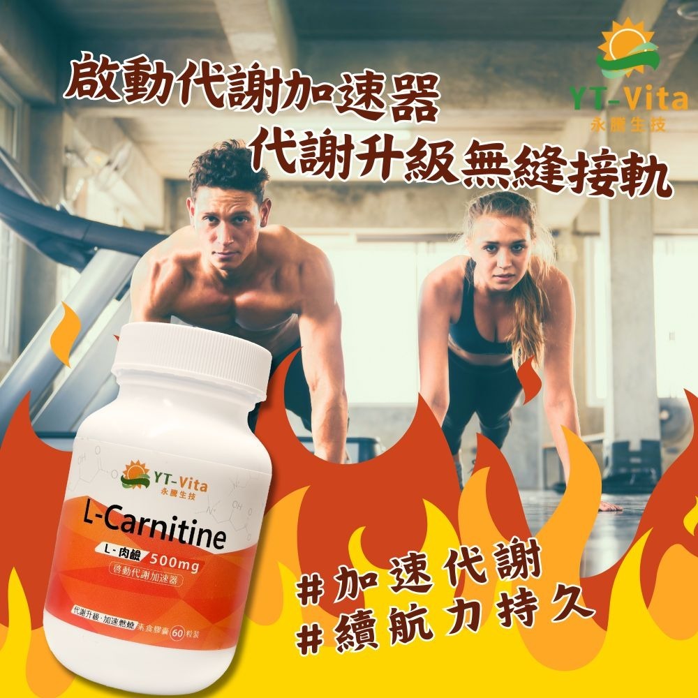 【YT-Vita】L-肉鹼 (60粒/瓶) 肉酸 卡尼丁 L-carnitine 左旋肉鹼 左旋肉酸 現貨-細節圖5