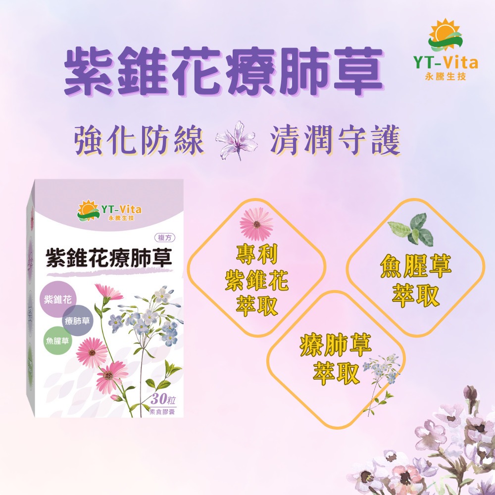 【YT-Vita 永騰生技】紫錐花療肺草複方膠囊(30粒/盒)專利紫錐花萃取 療肺草萃取 魚腥草萃取-細節圖2