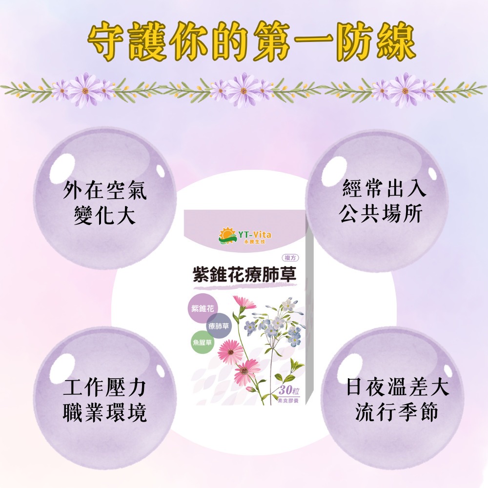 【YT-Vita 永騰生技】紫錐花療肺草複方膠囊(30粒/盒)專利紫錐花萃取 療肺草萃取 魚腥草萃取-細節圖3