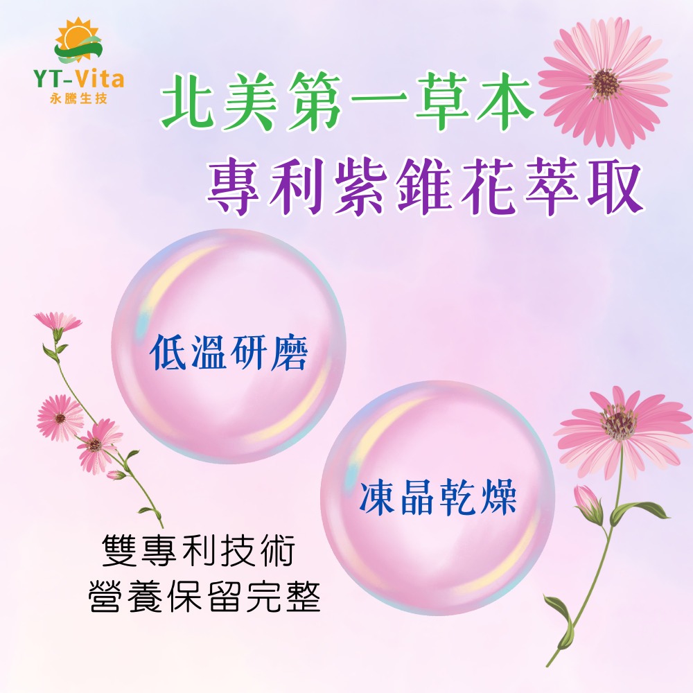 【YT-Vita 永騰生技】紫錐花療肺草複方膠囊(30粒/盒)專利紫錐花萃取 療肺草萃取 魚腥草萃取-細節圖5