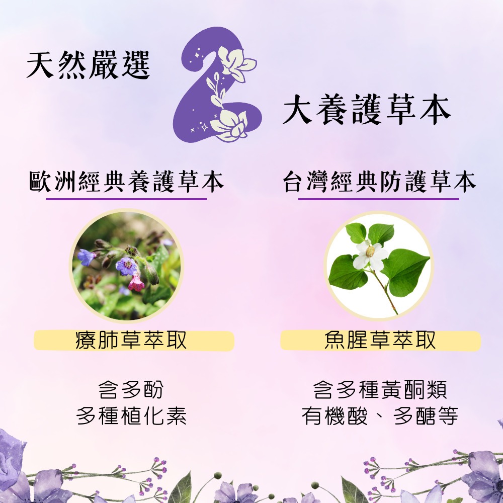 【YT-Vita 永騰生技】紫錐花療肺草複方膠囊(30粒/盒)專利紫錐花萃取 療肺草萃取 魚腥草萃取-細節圖6