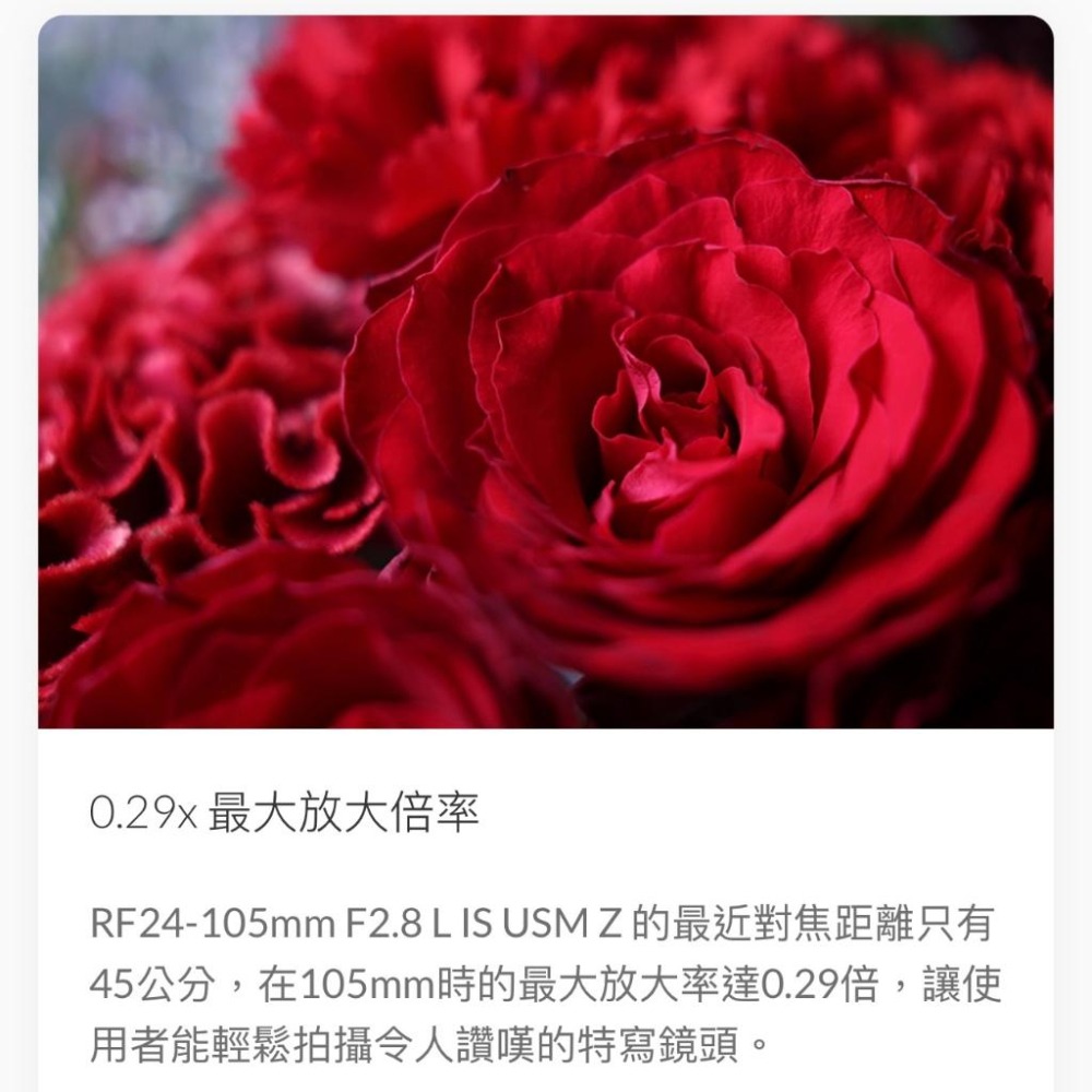 【Canon】RF24-105mm f/2.8L IS USM Z 多用途大光圈標準變焦鏡 (公司貨)-細節圖3