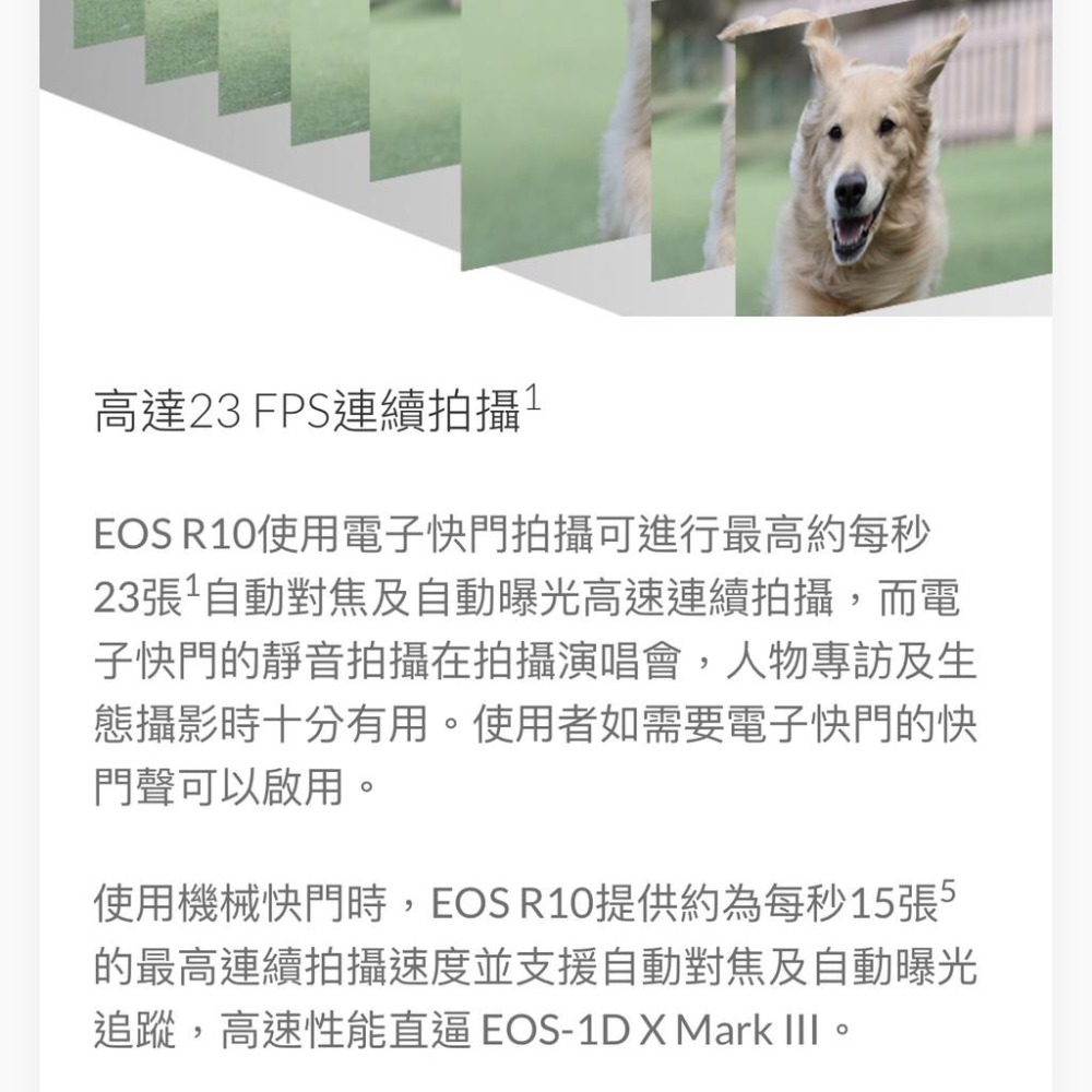 【Canon】EOS R10 BODY 單機身 天生探險家 輕巧高性能 無反光鏡相機 (公司貨)-細節圖5