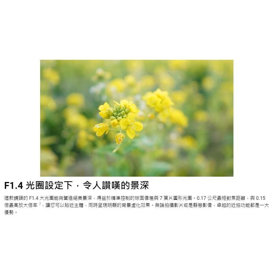 【SONY】SEL15F14G E 15 mm F1.4 G APS-C 廣角定焦鏡 (公司貨)-細節圖4