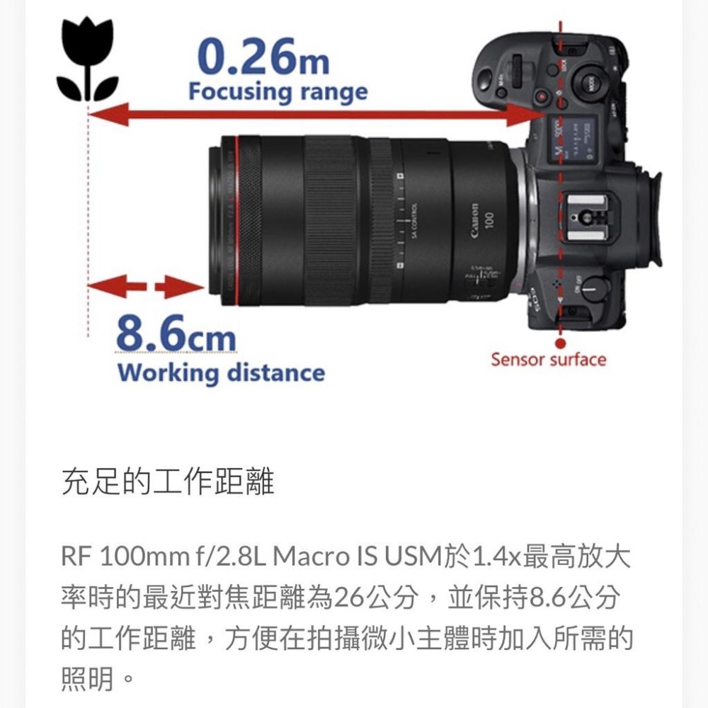 【Canon】RF 100mm f/2.8L Macro IS USM 中望遠微距鏡頭 (公司貨)-細節圖6