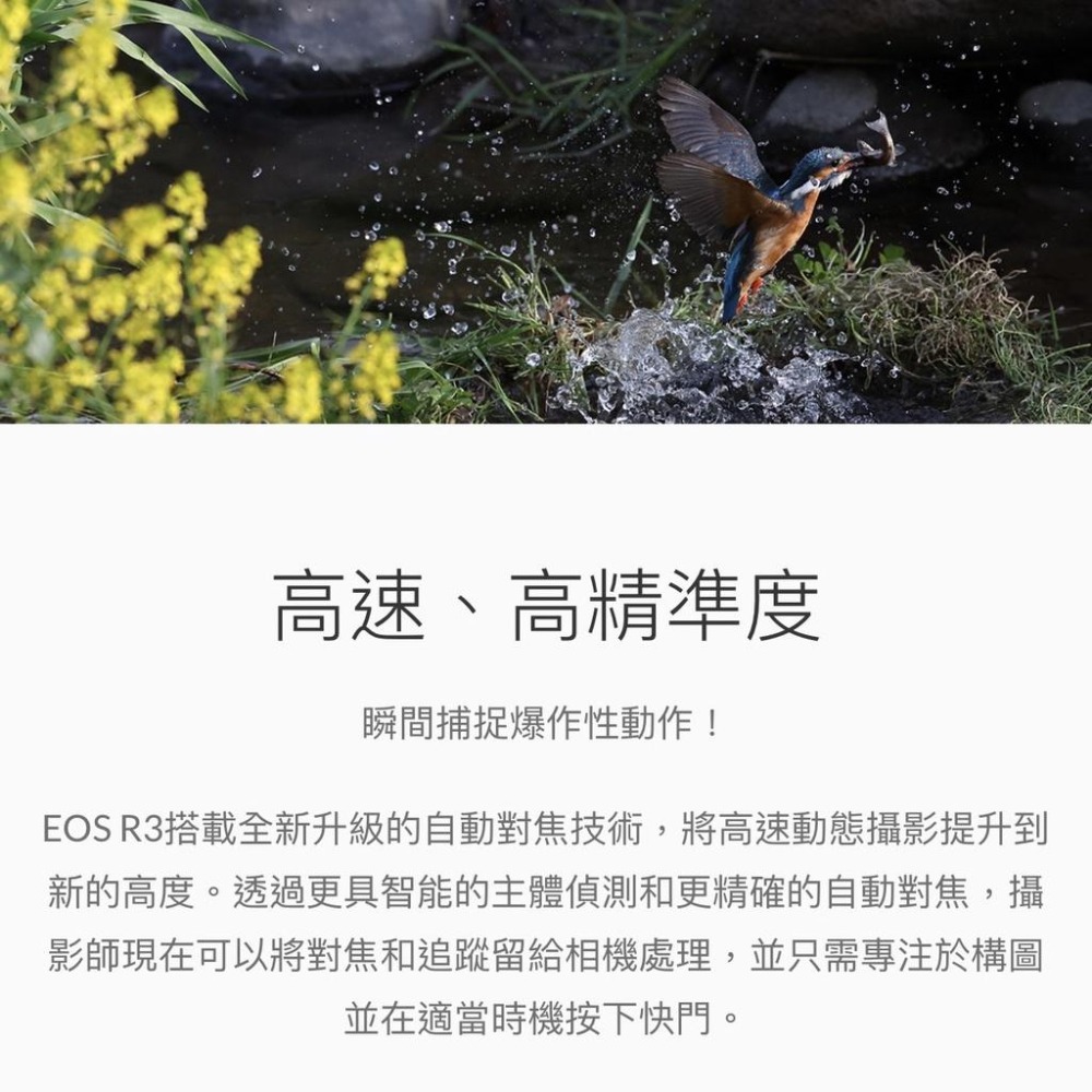 【Canon】EOS R3 BODY 單機身 王者天成 高速高靈敏度高階全片幅無反光鏡相機 (公司貨)-細節圖9