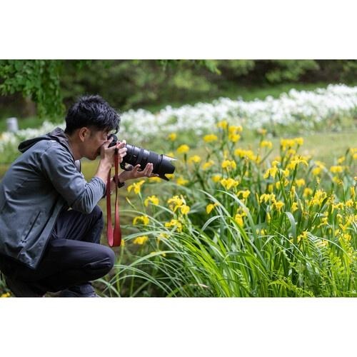 【Nikon】NIKKOR Z 100-400mm f/4.5-5.6 VR S (公司貨)-細節圖5