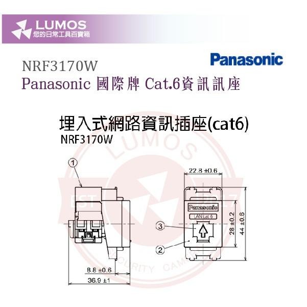 【台灣現貨/當天出貨】國際牌 星光系列 NRF3170W CAT.6 資訊插座 埋入式網路插座-細節圖4