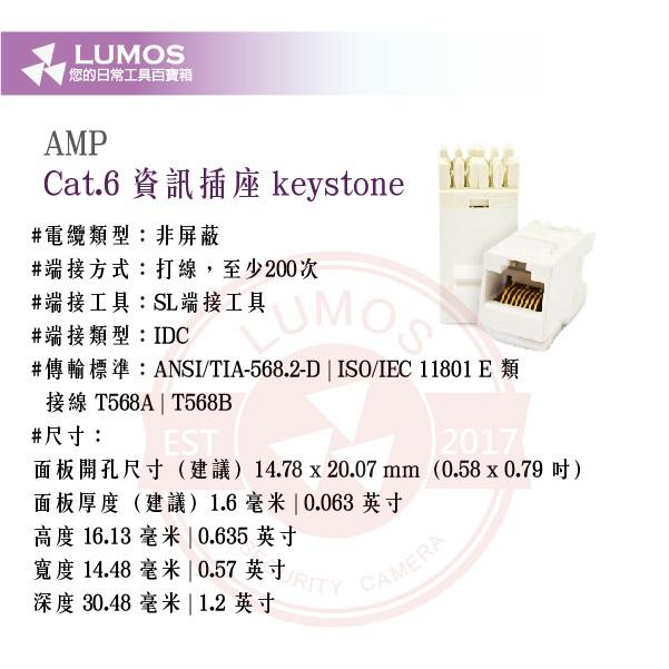 【台灣現貨｜當天出貨】AMP Cat.6 Keystone 資訊插座｜RJ45 8芯模組頭-細節圖3