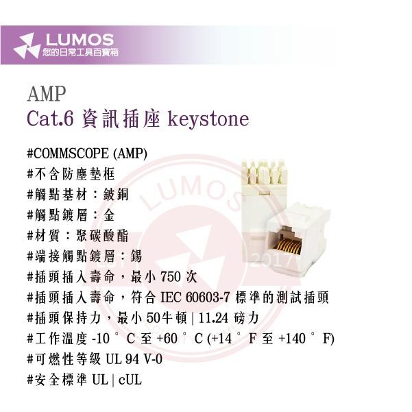 【台灣現貨｜當天出貨】AMP Cat.6 Keystone 資訊插座｜RJ45 8芯模組頭-細節圖4