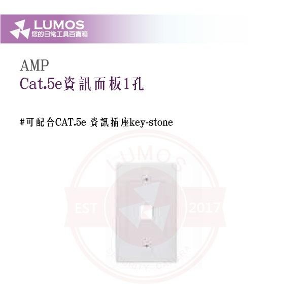 【台灣現貨｜當天出貨】AMP 資訊面板 1孔/2孔/3孔｜Keystone 模組蓋板-細節圖3