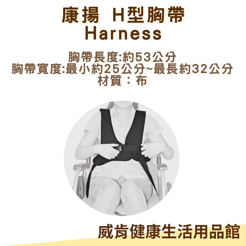 康揚輪椅固定帶  H型胸帶 輪椅安全帶 約束帶 輪椅固定帶 H型輪椅胸帶-細節圖3