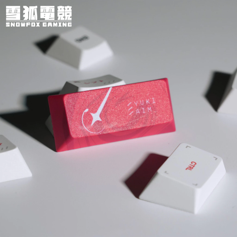 YukiAim 雪 2.0 PBT熱昇華 原廠高度 復刻鍵帽組 100鍵-細節圖5