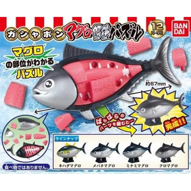 正版 黑鮪魚拼圖 扭蛋 轉蛋 解剖 黑鮪魚 益智拼圖 萬代 BANDAI-細節圖7