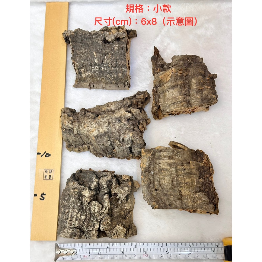 【業餘小農】天然香檳軟木樹皮、厚款、鼠婦、蜥蜴、蛇、甲蟲、爬蟲類躲藏、造景、鹿角蕨、樹皮、空鳳、蘭花-規格圖3