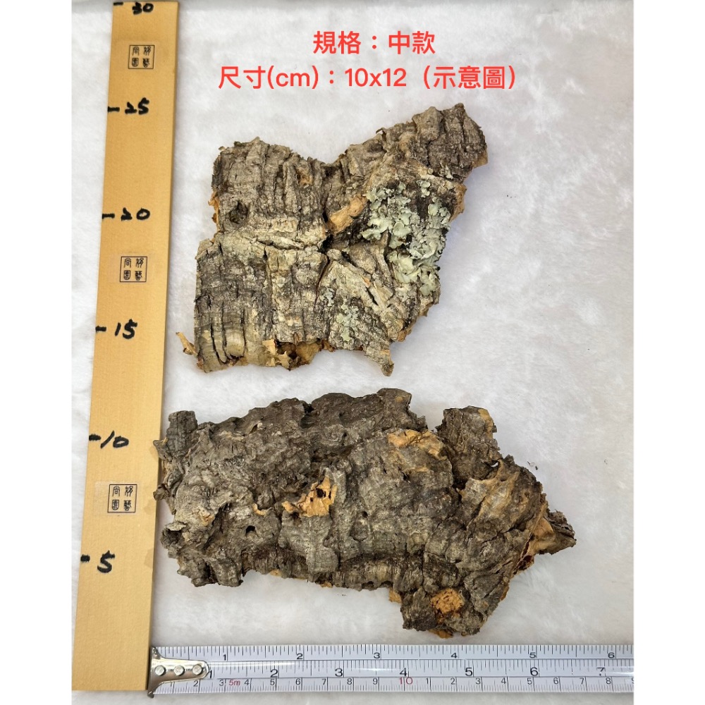 【業餘小農】天然香檳軟木樹皮、厚款、鼠婦、蜥蜴、蛇、甲蟲、爬蟲類躲藏、造景、鹿角蕨、樹皮、空鳳、蘭花-規格圖3