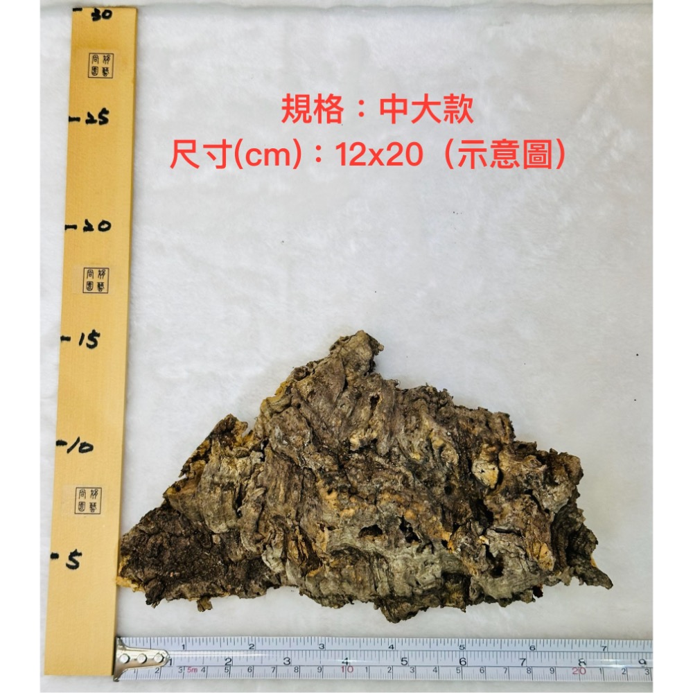 【業餘小農】天然香檳軟木樹皮、厚款、鼠婦、蜥蜴、蛇、甲蟲、爬蟲類躲藏、造景、鹿角蕨、樹皮、空鳳、蘭花-規格圖3