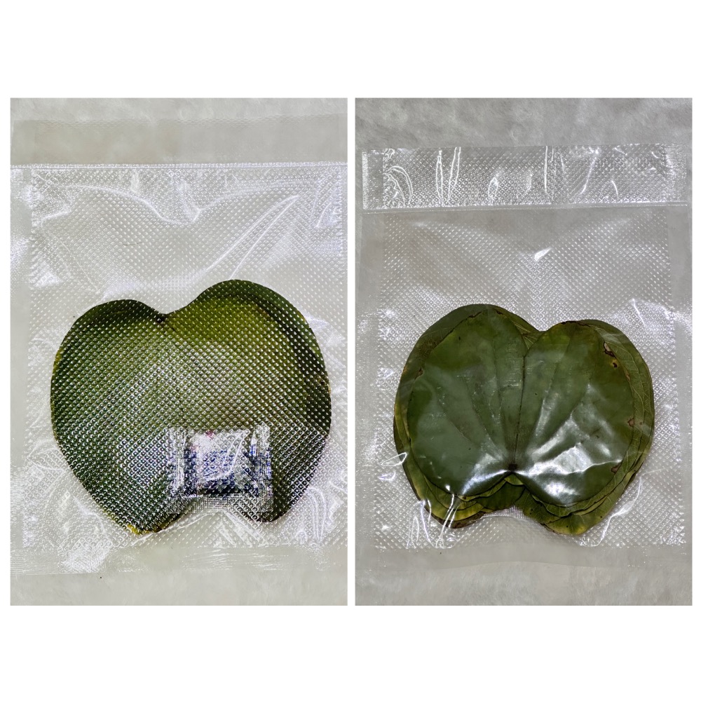 【業餘小農】天然採摘羊蹄甲乾葉、構樹、桑葉、血桐葉，鼠婦、陸龜、兔子、天竺鼠、竹節蟲、枇杷葉、芭樂葉、天然無毒買5送1-規格圖5