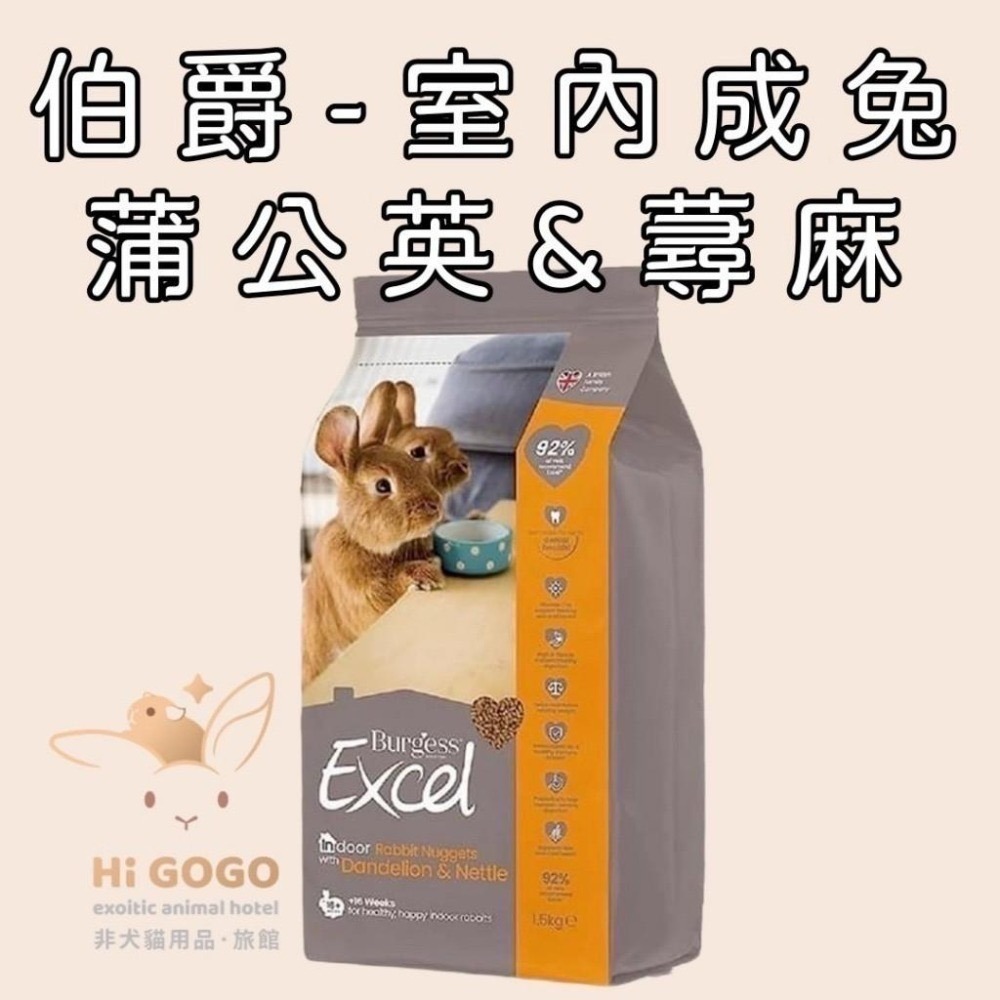 ◆HiGOGO◆英國伯爵Burgess新版Excel全系列 室內成兔/幼兔/老兔/侏儒兔/兔飼料/天竺鼠/龍貓-細節圖3