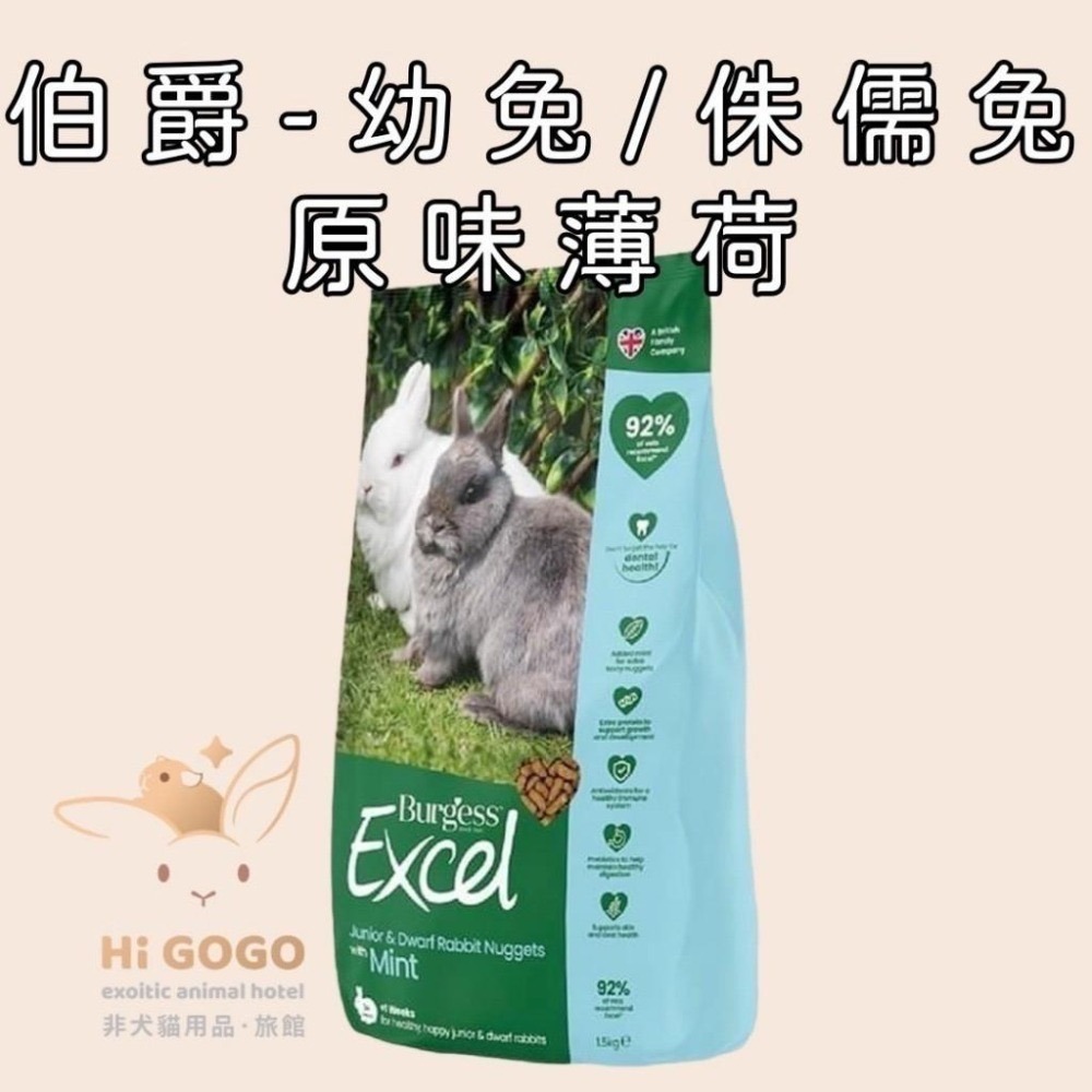 ◆HiGOGO◆英國伯爵Burgess新版Excel全系列 室內成兔/幼兔/老兔/侏儒兔/兔飼料/天竺鼠/龍貓-細節圖8