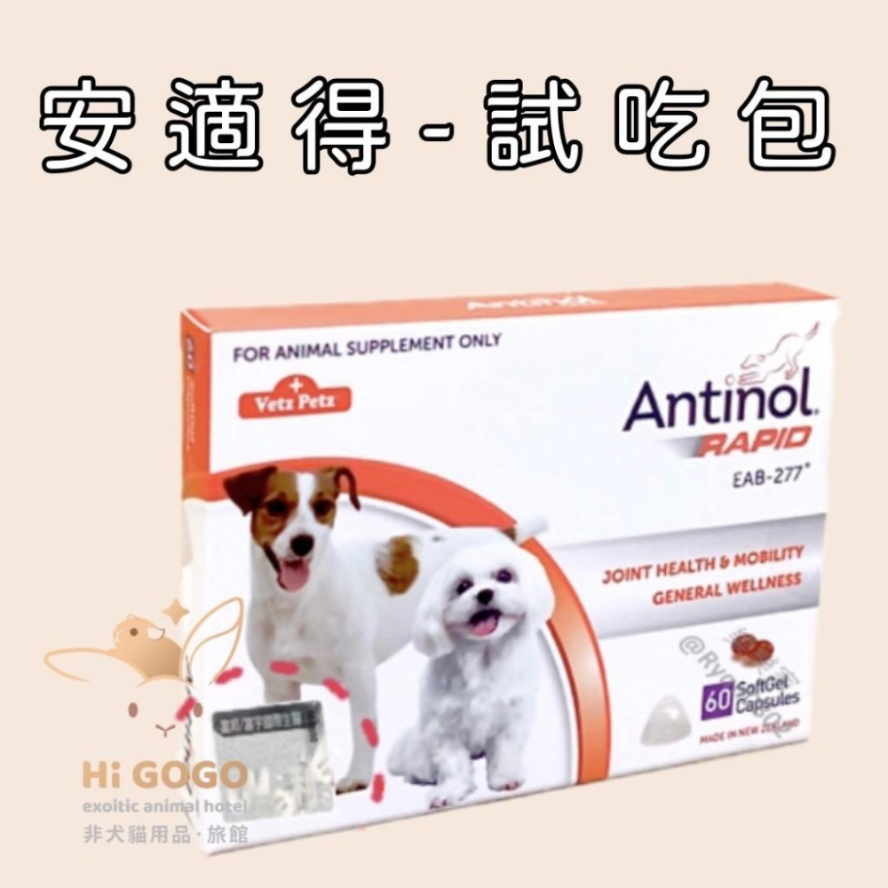 ◆HiGOGO◆安適得 Antinol 酷版 骨關節保養 ＂＂＂＂＂＂＂單顆入＂＂＂＂＂＂＂試吃-細節圖2