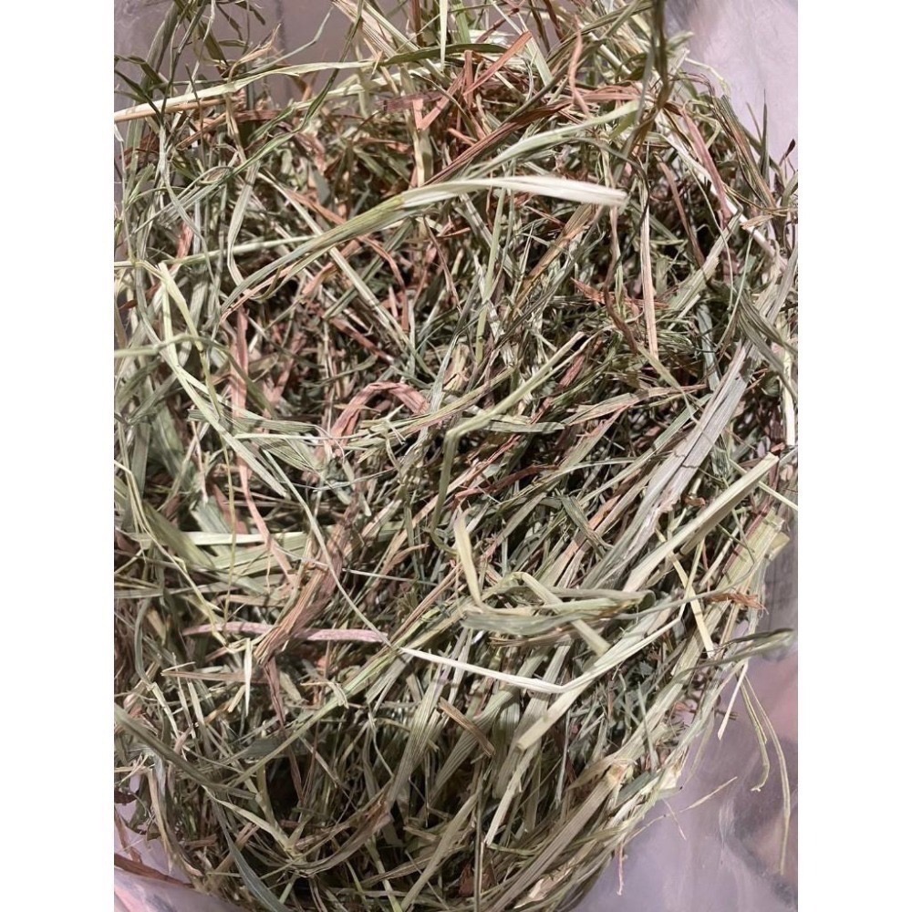 ◆HiGOGO◆TWOTWO提摩西一割 提摩西二割 提摩西三割 苜蓿草 小麥草 甜燕麥-細節圖3