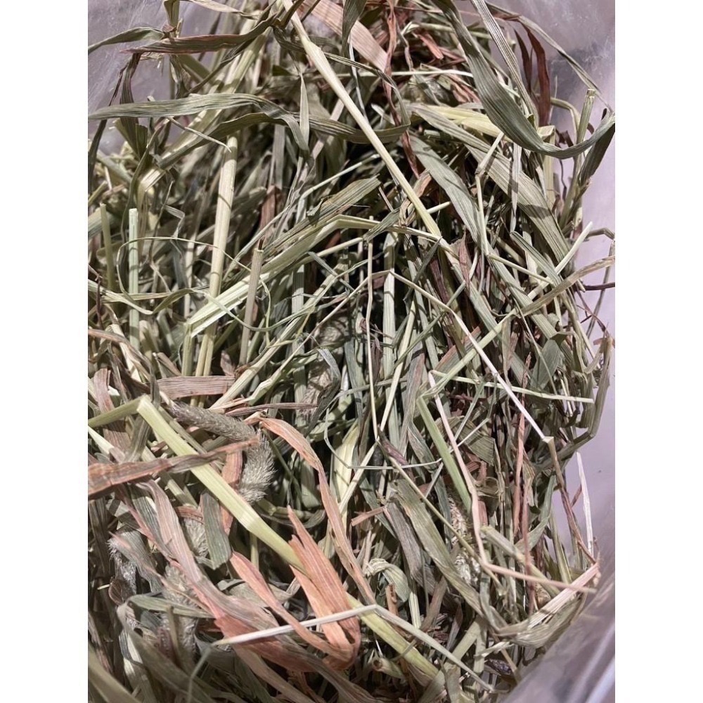 ◆HiGOGO◆TWOTWO提摩西一割 提摩西二割 提摩西三割 苜蓿草 小麥草 甜燕麥-細節圖5