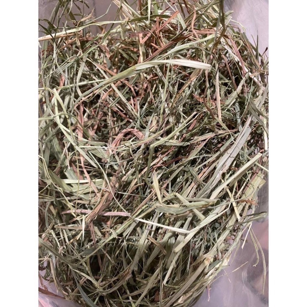 ◆HiGOGO◆TWOTWO提摩西一割 提摩西二割 提摩西三割 苜蓿草 小麥草 甜燕麥-細節圖3
