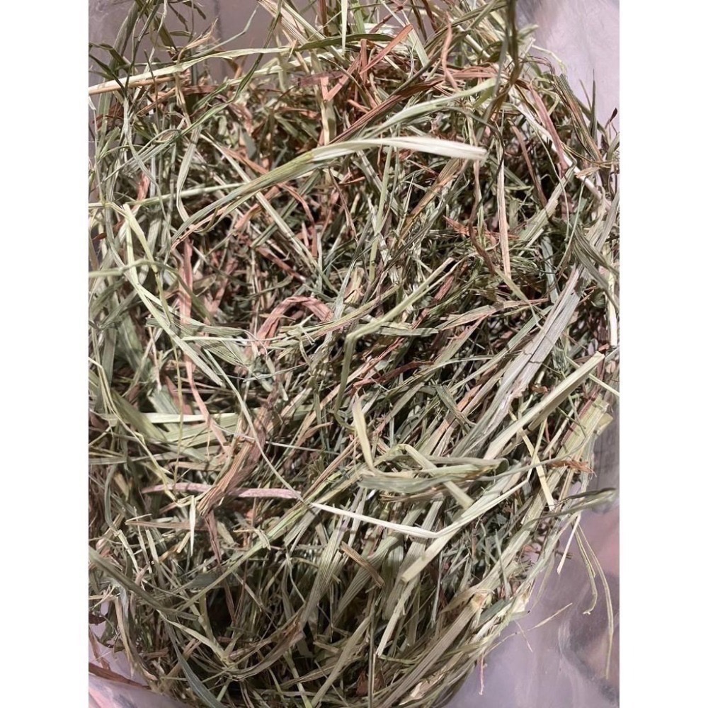 ◆HiGOGO◆TWOTWO提摩西一割 提摩西二割 提摩西三割 苜蓿草 小麥草 甜燕麥-細節圖3