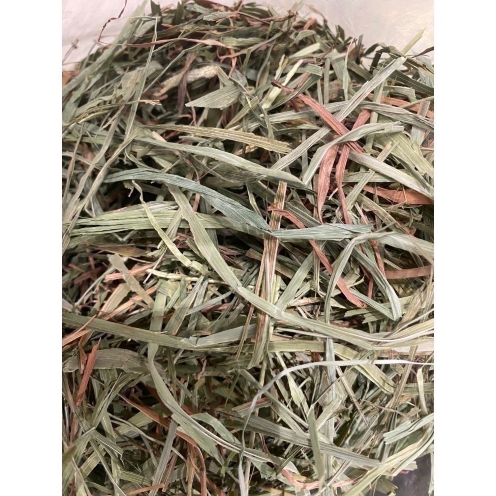 ◆HiGOGO◆TWOTWO提摩西一割 提摩西二割 提摩西三割 苜蓿草 小麥草 甜燕麥-規格圖5