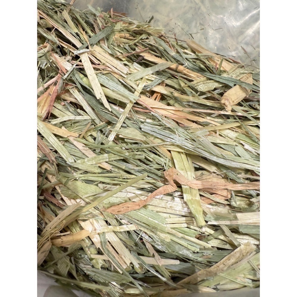 ◆HiGOGO◆TWOTWO提摩西一割 提摩西二割 提摩西三割 苜蓿草 小麥草 甜燕麥-規格圖5
