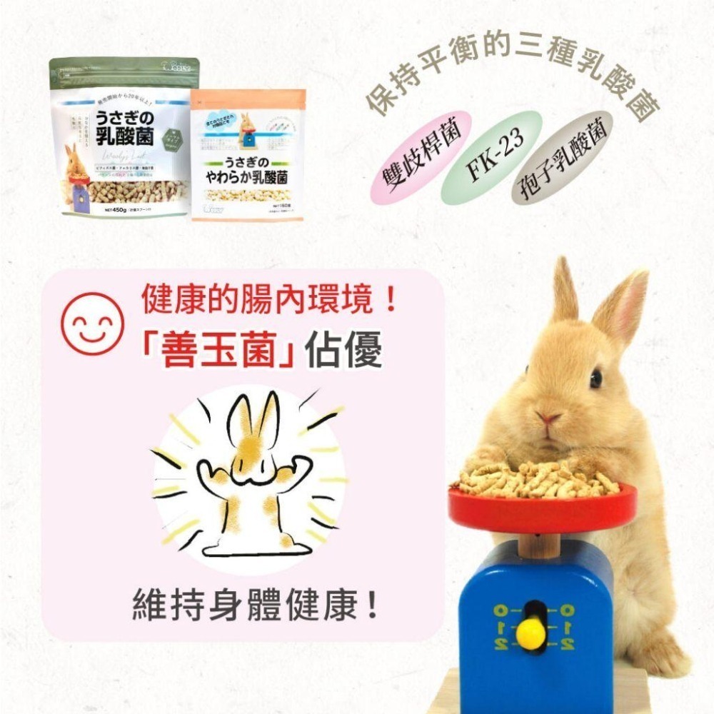#台灣代理商進口#◆HiGOGO◆Wooly 兔子的乳酸菌(軟)錠狀 兔子保養品 天竺鼠保養品-細節圖2