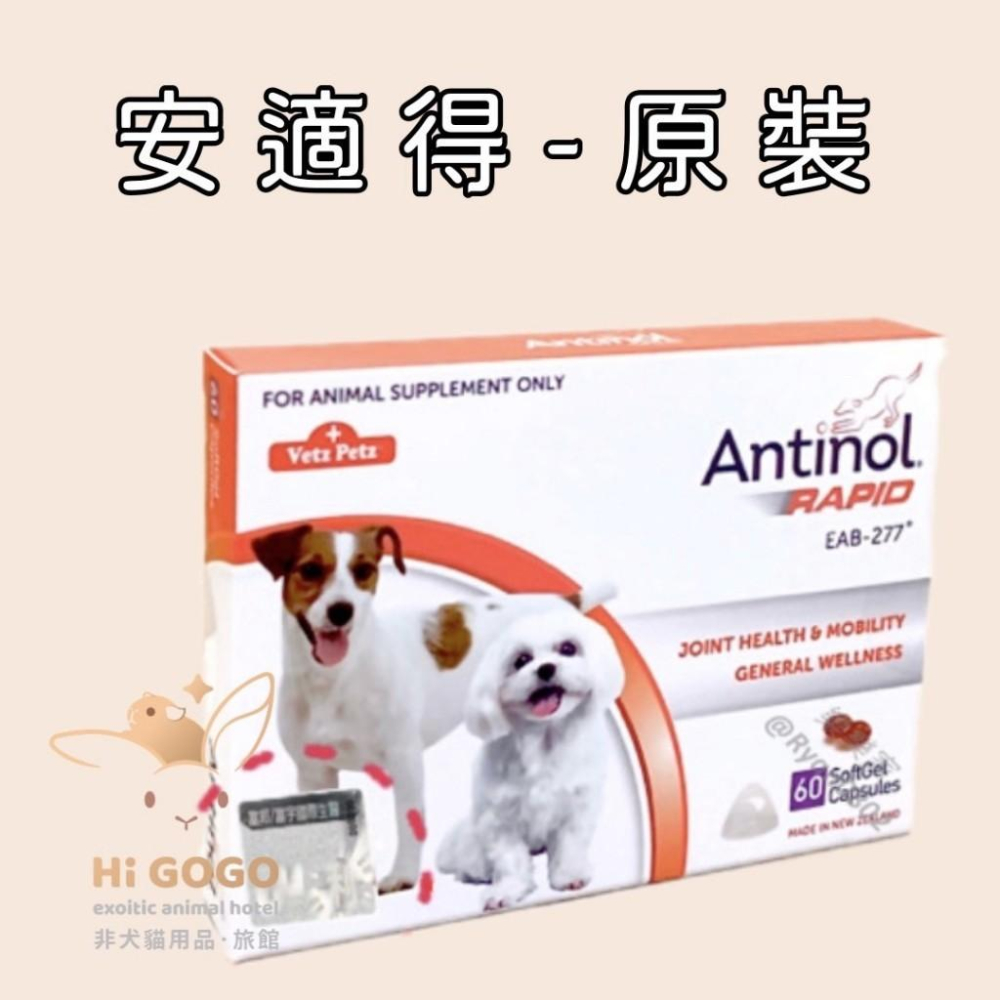 ◆HiGOGO◆安適得 Antinol 酷版60錠 骨關節保養 原裝60入-細節圖3